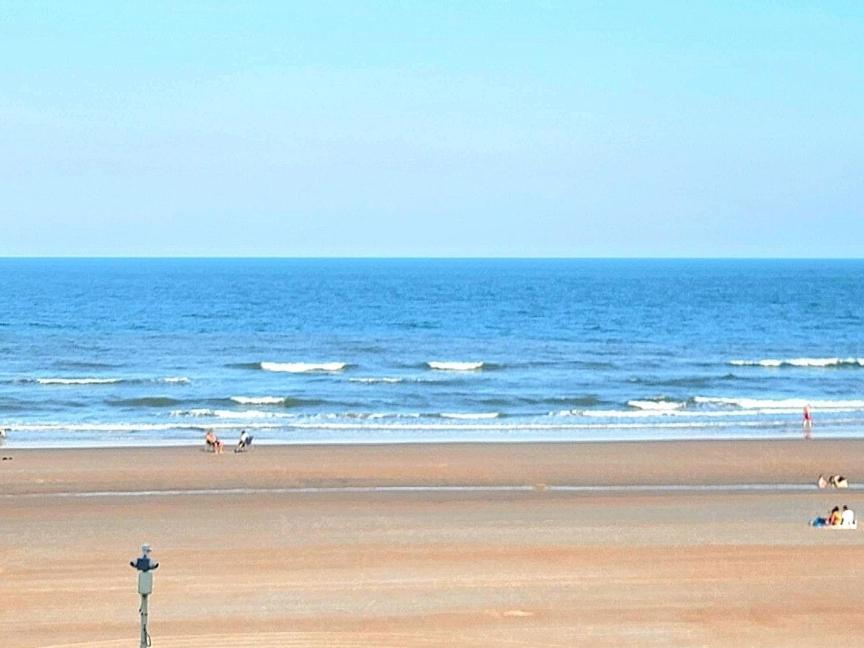 Direct Oceanfront With Balcony Daire Daytona Beach Dış mekan fotoğraf